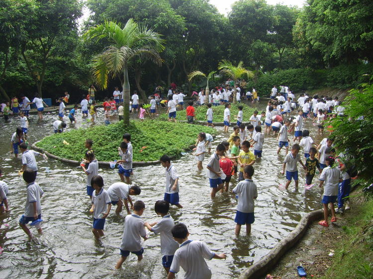 抓泥鰍.jpg