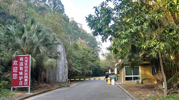 深圳農家樂自駕游為什么推薦九龍生態園？