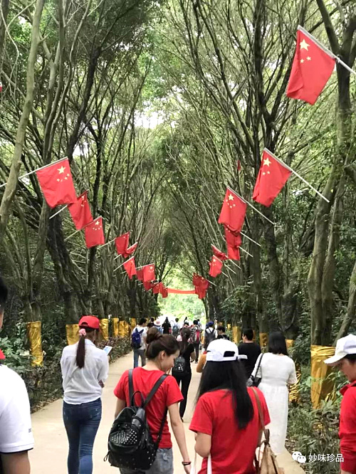 到達九龍生態園