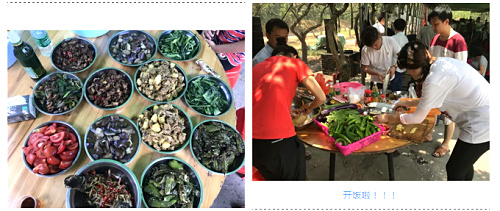 九龍生態(tài)農業(yè)園野炊