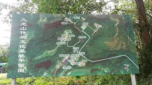MEDO團建活動回顧 | 九龍山生態園一日游，體驗不一樣的生活